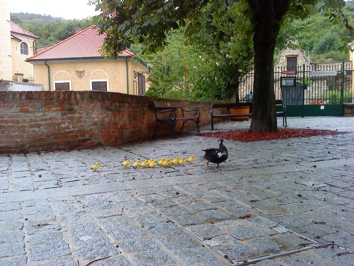 Schloss Gumpoldskirchen Eksteriør bilde