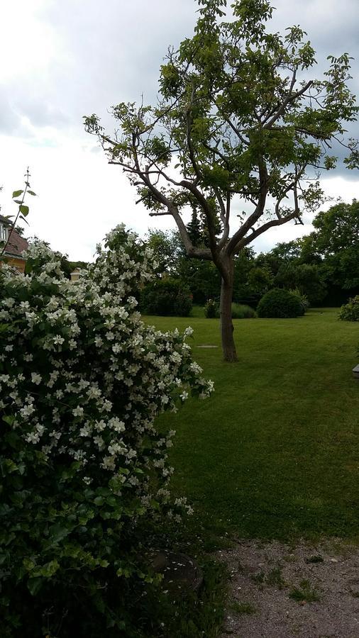Schloss Gumpoldskirchen Eksteriør bilde