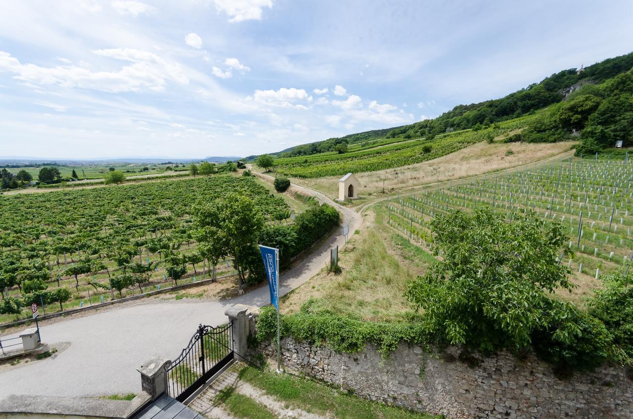 Schloss Gumpoldskirchen Eksteriør bilde